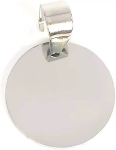 Plaquinha de Identificação Personalizável com Gravação a Laser para Cão ou Gato, Aço Inoxidável (Prata)