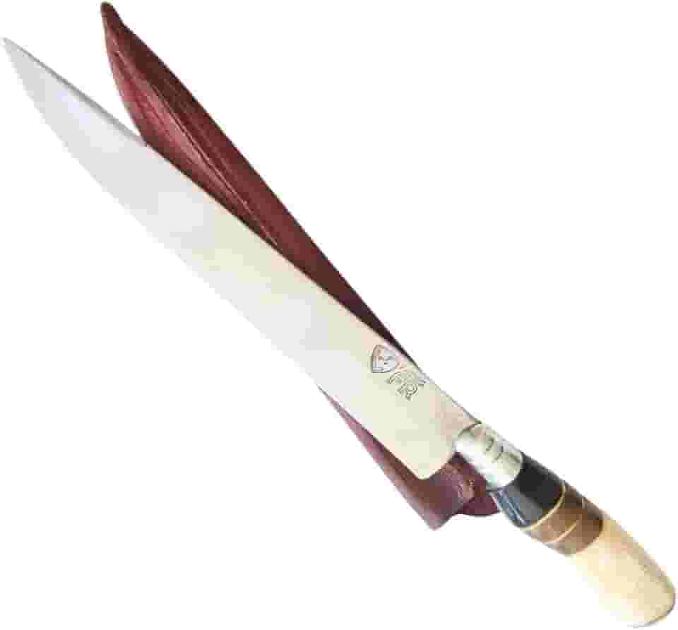 Faca Artesanal Churrasco 10” Aço Carbono Full Tang FACAS FR – Cabo de Osso, Madeira e Chifre com Bainha Couro – Corte Profundo, Precisão BBQ, Produção Nacional