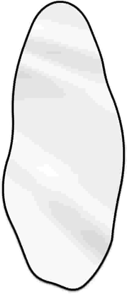 Espelho Orgânico Corpo Inteiro Pedra 160x70cm Design Moderno com Moldura em Couro para Decoração Sofisticada (Preto)