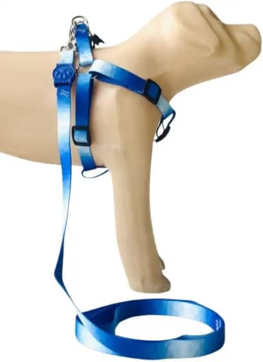 Conjunto Peitoral Coleira com Guia para Cachorros com Pingente para Identificação P, Tamanho Ajustável, Confortável e Resistente