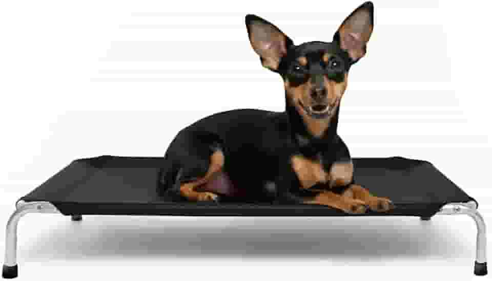 Cama Suspensa Elevada Pet para Cachorro Leve Resistente Aluminio 60x40cm Tamanho P Suporta Até 25Kg - Dogets (Preto)