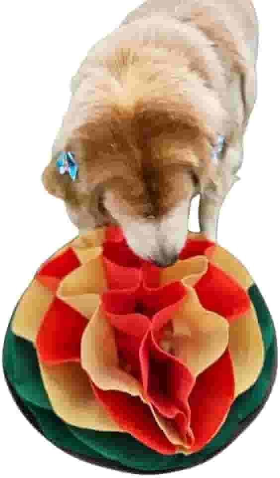 BRINQUEDO CACHORRO TAPETE DE FUÇAR PARA CÃES ENRIQUECIMENTO AMBIENTAL BRINQUEDO PARA CACHORRO FILHOTE IDOSO BRINQUEDO CACHORRO ANTI ESTRESSE