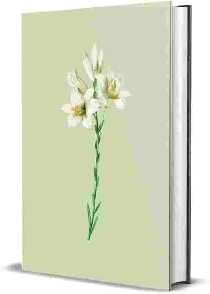 Bíblia Sagrada NVI - Lírios: Capa dura