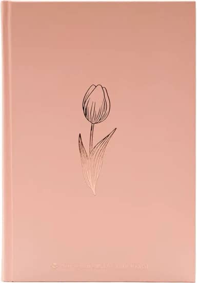 Bíblia NAA, Rose Tan, Capa Dura | SBB | Capa dura ilustrada, rose: Nova Almeida Atualizada (NAA)