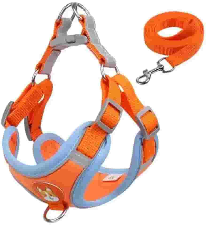 Coleira Ajustável para Cachorro com Peitoral e Guia, Laranja e Azul, Tamanho Médio