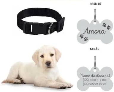 Coleira Personalizada Com Nome E Telefone A Lase (G, Preta)