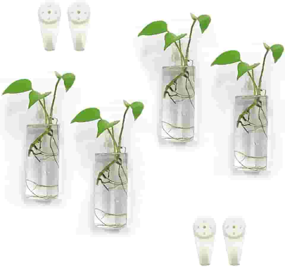 Plantadores de parede para plantas de interior - vasos de terrário de vidro, suportes de plantas suspensos (pacote com 4)