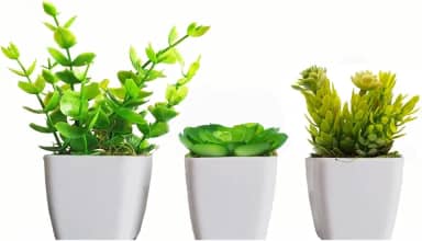 3 Mini Vasinhos Cerejeira, Palmeira/Coqueiro Suculentas Artificiais/Plantinha Artificial (KIT COM SUCULENTA)