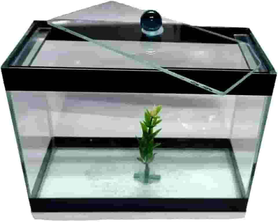 Aquario para peixes pequenos tipo Betta Retangular 20 cm - Sem Pedra