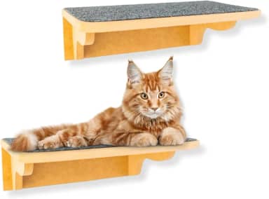 Prateleira para Gatos 2Pçs Tam G Resistente Já Montado Com Kit Fixação e Seguro (Carpete Grafite)