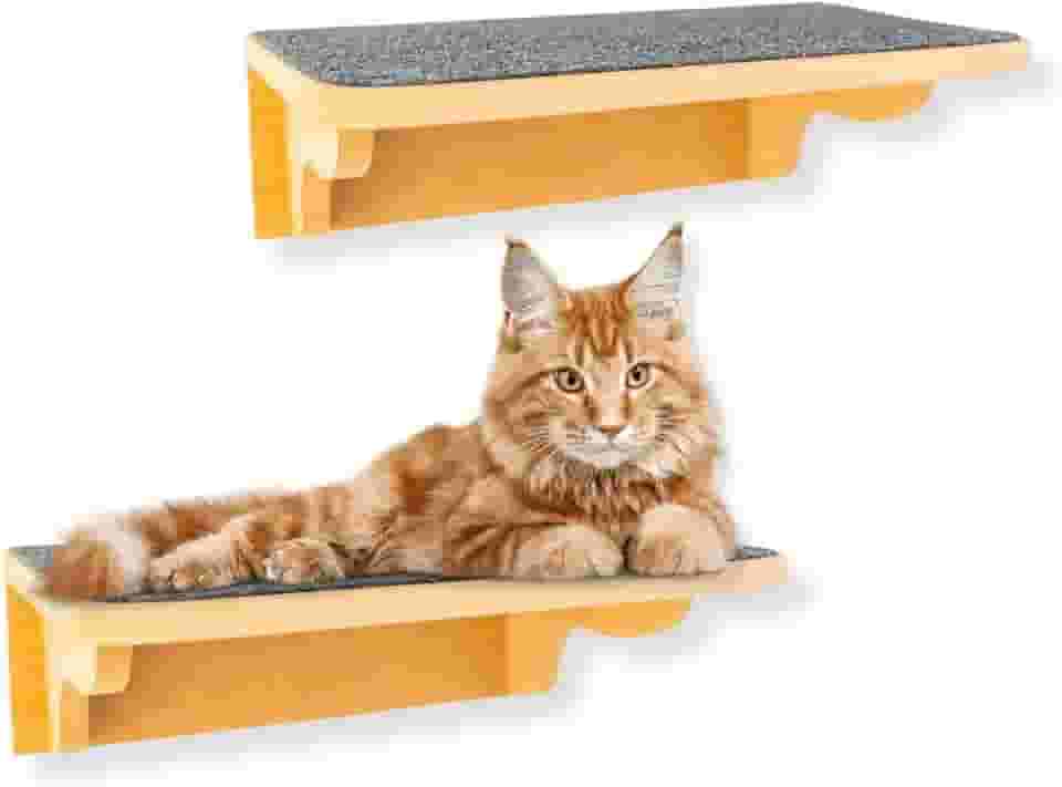 Prateleira para Gatos 2Pçs Tam G Resistente Já Montado Com Kit Fixação e Seguro (Carpete Grafite)