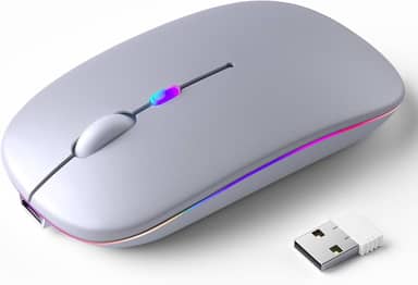 Mouse Sem Fio Recarregável, Ergonômico, com Led RGB, Conexão Dual Bluetooth 5.0/USB 2.4GHz, DPI Ajustável, perfeito para Notebook, Laptop,PC, Desktop, Silencioso (Prata)