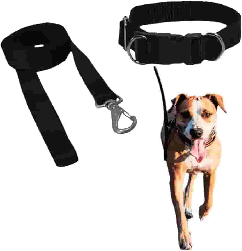 Coleira Com Guia Para Cachorro Pet Grande/médio Resistente (Preto)