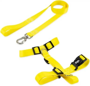 Basic Pet Coleira Peitoral Com Guia Para Cachorro Cães Modelo Tradicional H Tamanho Porte Grande Médio Pequeno (M, Amarelo)