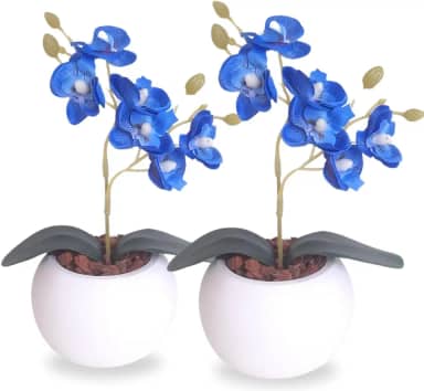 Kit 2 Mini Orquídea Com Vaso de Gesso e Cascas de Pinus Natural(Azul)