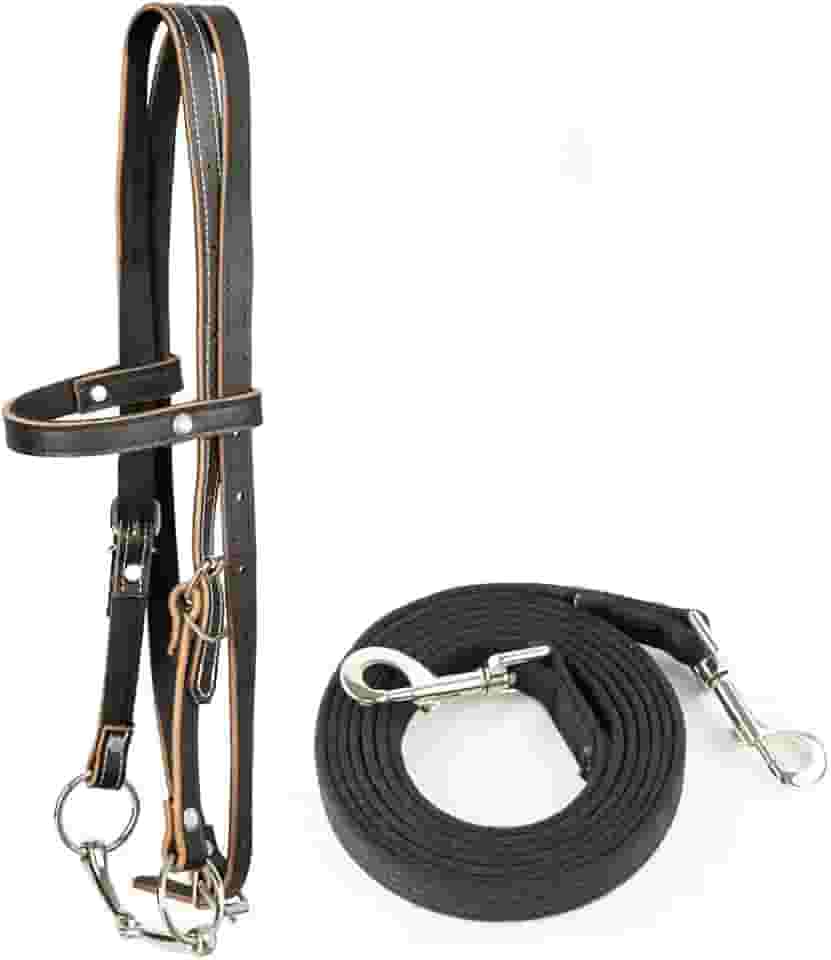 Ponteira de couro para cavalo, freios ajustáveis para cavalos com pontas e rédeas removíveis (P (abaixo de 1,2 metros), preto)