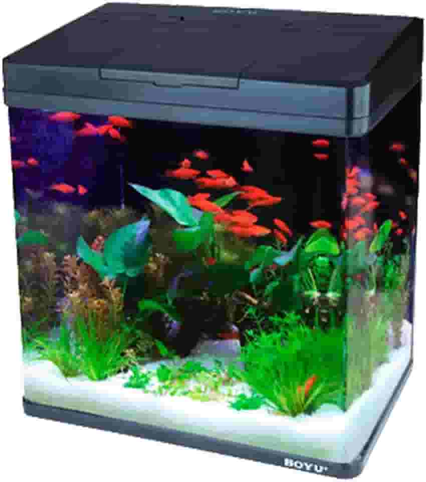 Boyu - Aquário Curvo Ms-420 31L Preto 220v