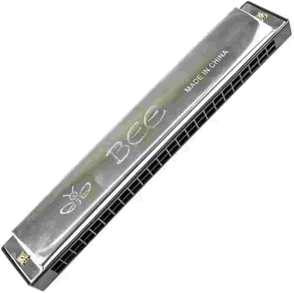 Gaita de Boca Diatônica Harmônica, 24 Furos, Azul, Aço Inoxidável e ABS, Afinação em Dó (C), 19.3cm