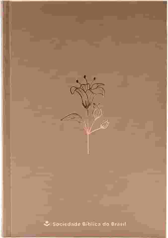 Bíblia NTLH, Mocha Mousse, Capa Dura: Nova Tradução na Linguagem de Hoje (NTLH)