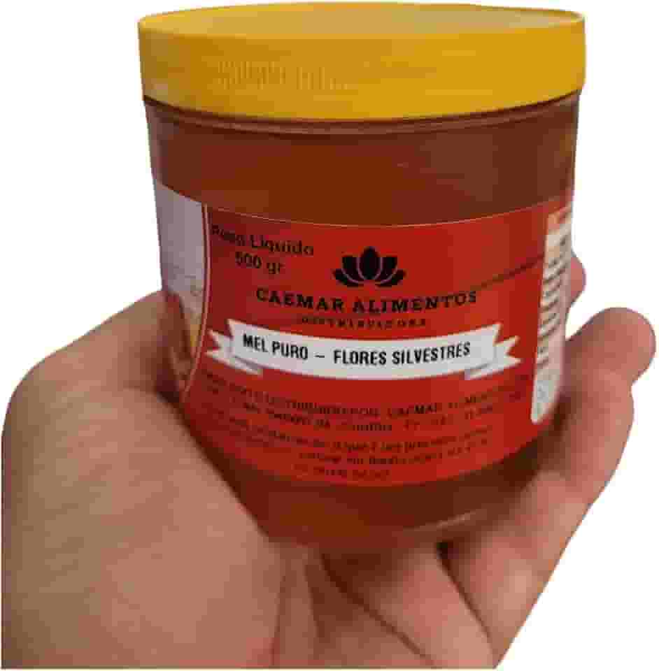 Mel Puro 100% Natural sem Conservantes - 500 gr - Flores Silvestres