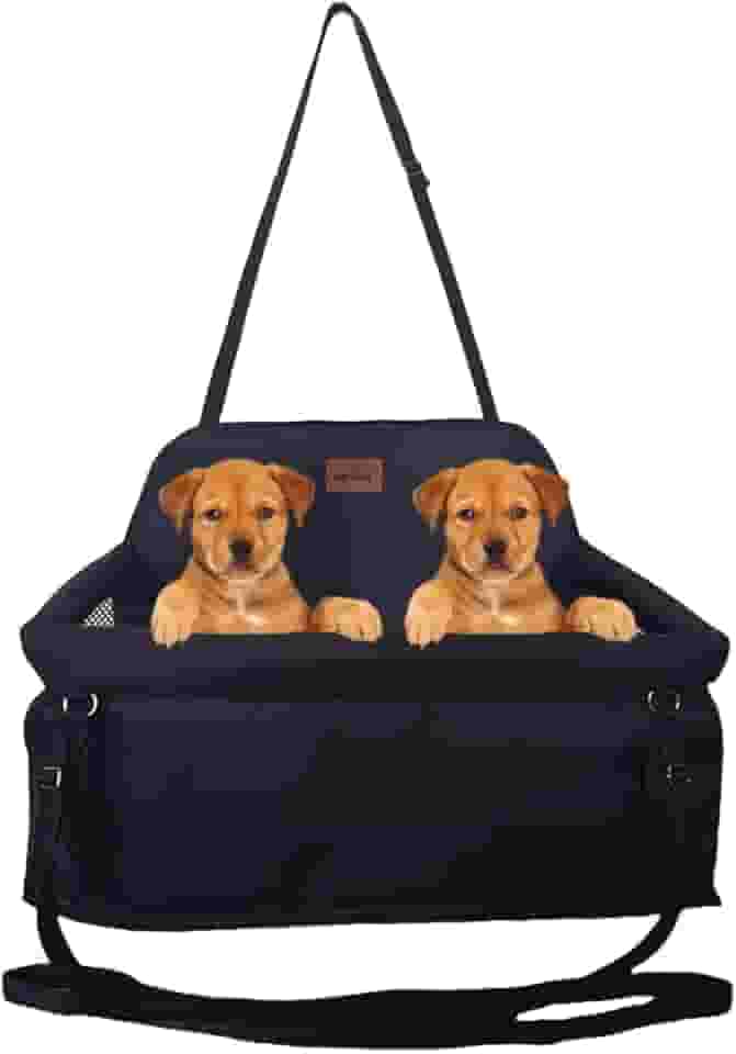Cadeirinha Assento Dupla Para Viajar Com 2 Pets no Carro Cães Gatos Viagem Segura Confortável Até 30kg