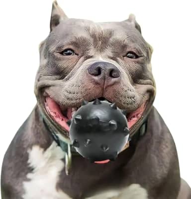 Brinquedo para Cachorros, Interativo e Funcional, Bolinha Cravinho Black, Alivia o estresse e Auxilia os Dentes, Brinquedo para Cães, Cores Sortidas, Tamanho: 7,5cm