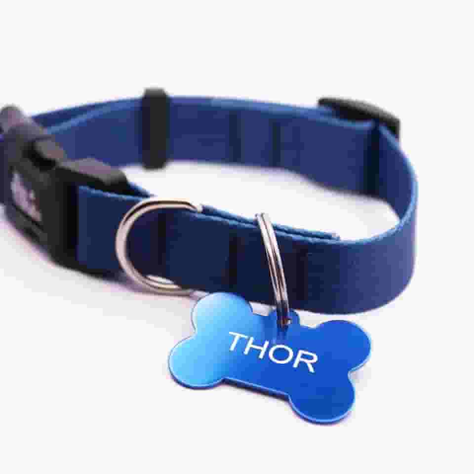 Coleira Cachorro Yoo Pets e Plaqueta Identificação Nome e Telefone PETS (P (28 cm a 41 cm)