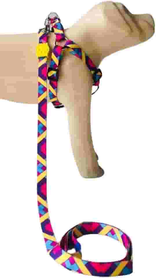 Conjunto Peitoral Coleira com Guia para Cachorros com Pingente para Identificação M, Tamanho Ajustável, Confortável e Resistente