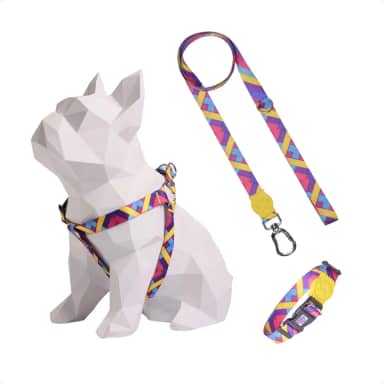 Kit Peitoral Americano + Coleira + Guia para Cães Passarela (M)