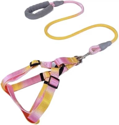 Coleira e Guia com Amortecedor e Pegador Peitoral Ajustável Para Pets Cachorros Colorido(Amarelo Rosa,L)