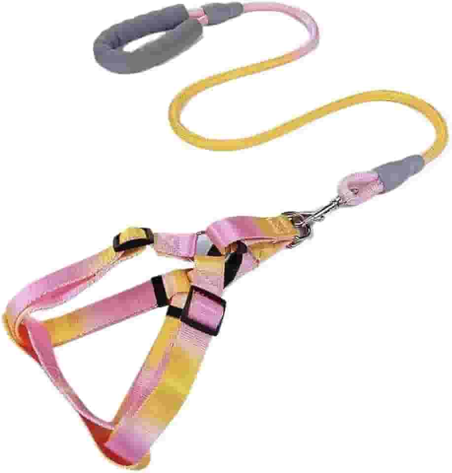 Coleira e Guia com Amortecedor e Pegador Peitoral Ajustável Para Pets Cachorros Colorido(Amarelo Rosa,L)