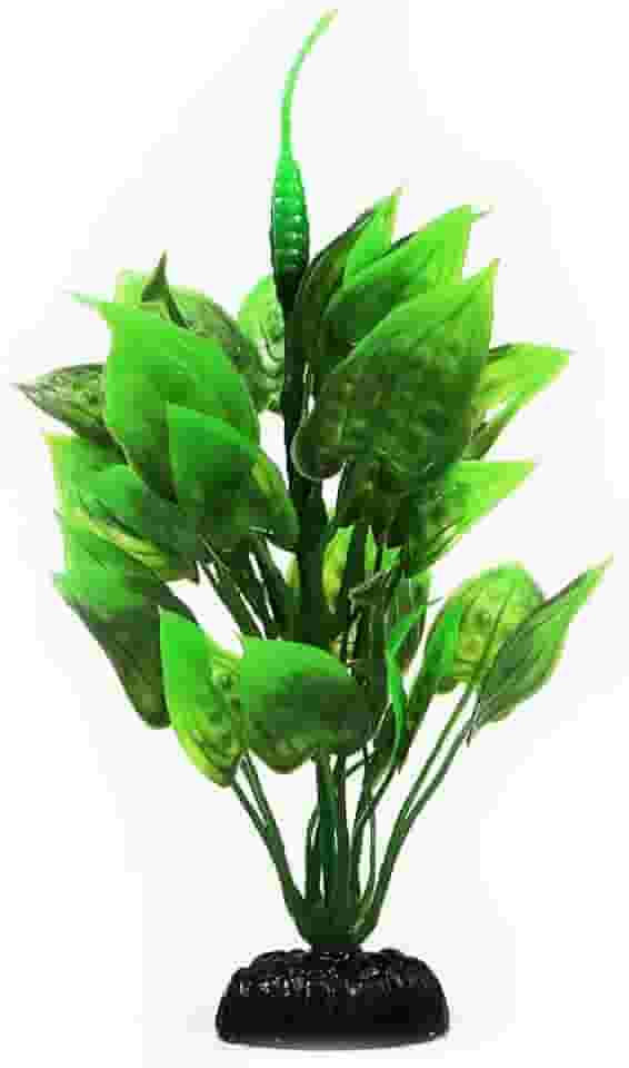 Maxxi Plantas AP047C 20cm