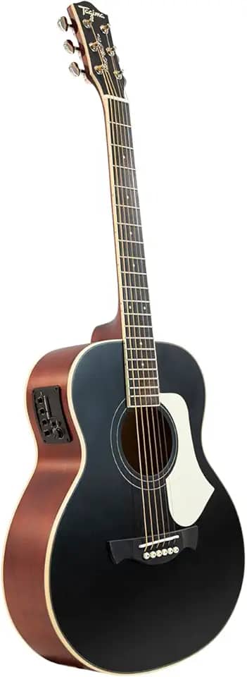 VIOLÃO GS MINI NON-CUTAWAY EQ AÇO T/SPRUCE B/S AGATHIS LATIN AMERICA PORTENO BKS TAGIMA