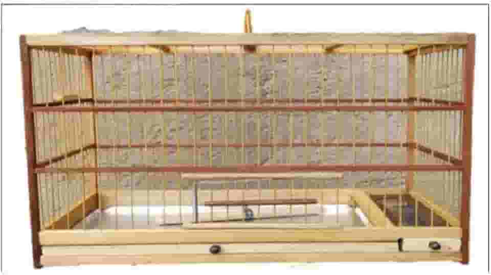 Gaiola quadrada em Madeira e Fibra para Aves: Coleira, Bigodinho, Pintassilgo, Papa-capim, Caboclinho, Canário e outras