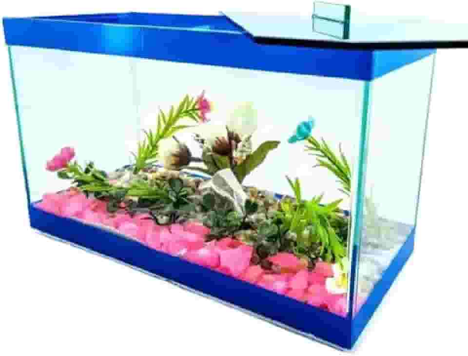 Aquário decorativo retangular 25x12x15 com peixes e plantas(AZUL)