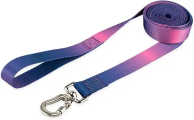 Coleira Guia 10 Metros Para Cães Cachorro Adestramento Passeio Porte Grande Médio Pequeno (Lily, G)