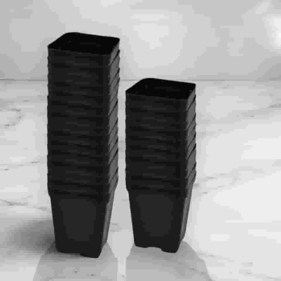 Kit 50 Vasos Quadrados Tamanho 9 Modelo 7x8cm de 200ml Plástico para Suculentas e Jardim
