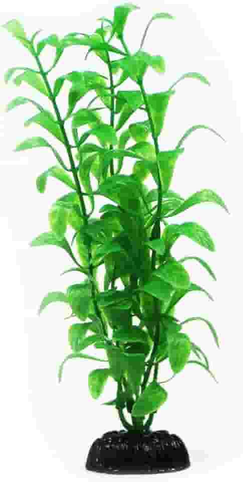 MAXXIS Maxxi Plantas Ap-031B 20Cm