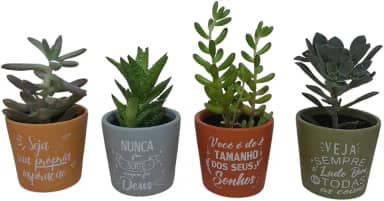 Vaso Cachepot Suculenta Mini Kit 4 Vasos Frases