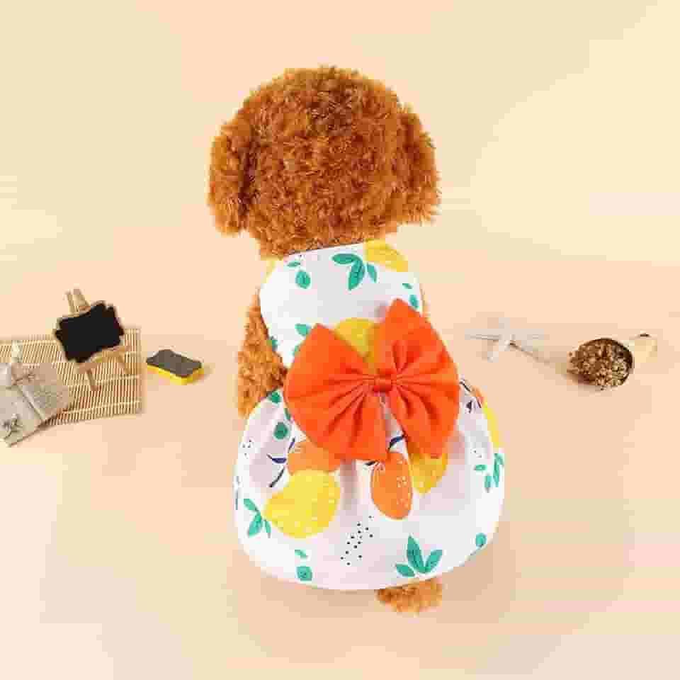 1 vestido de cachorro elegante para o verão - Vestuário para animais de estimação com respirabilidade e conforto; design moderno; fácil de limpar, laranja, G