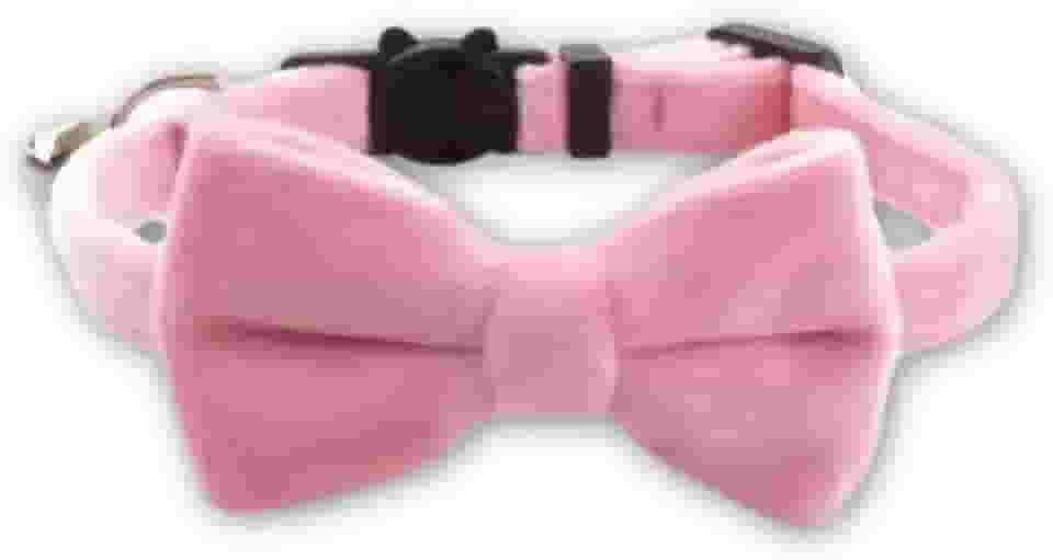 Coleira De Veludo Com Gravata Borboleta Para Gatos E Cães Pequenos, Veludo Macio E Confortável, Coleira Pet Ajustável Com Laço E Sininho Guizo, Coleira De Luxo Elegante Estilosa – HEISIL (ROSA CLARO)