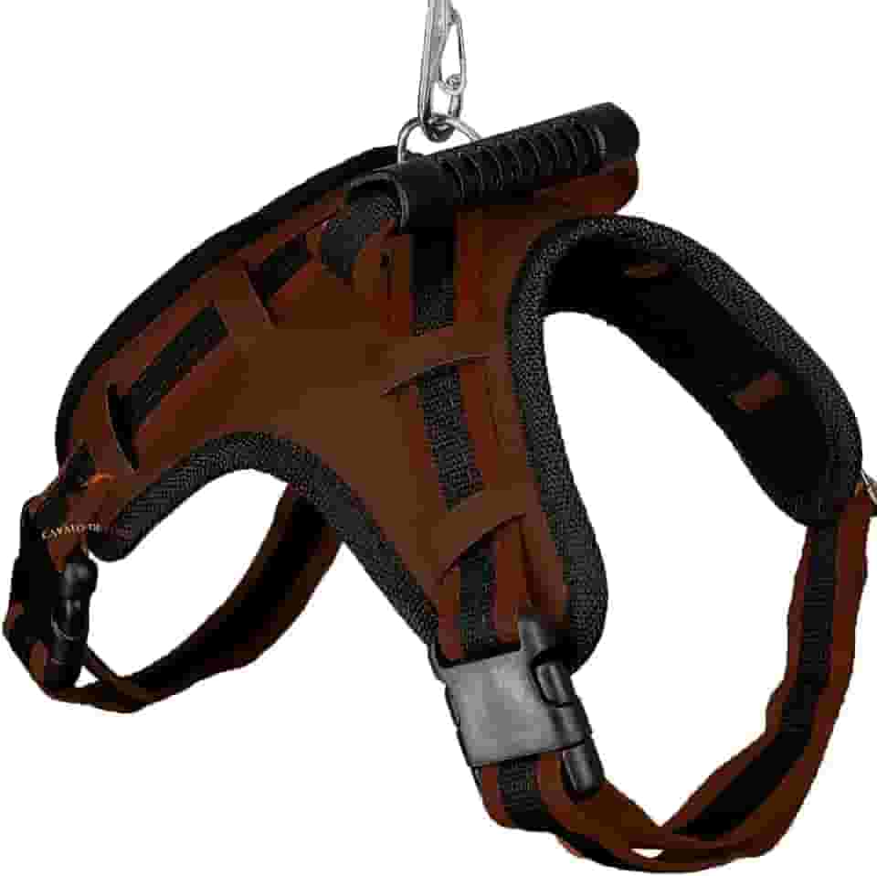 Coleira com Regulagem e Guia Peitoral Cachorro Grande Guia Doberman Pitbull Anti Puxão coleira cachorro (MARROM,M)