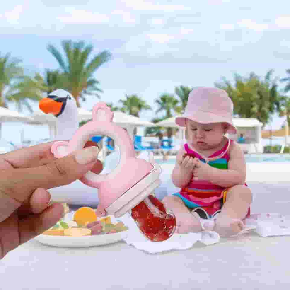Porta Fruta Chupeta Alimentação Silicone Bebê BPA Free Rosa