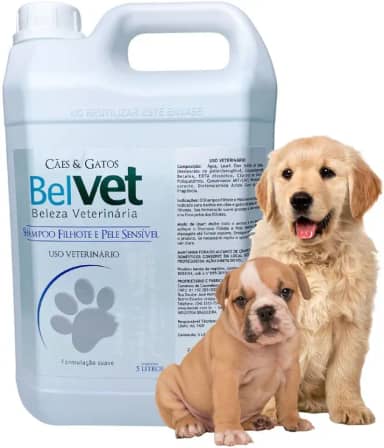 Shampoo Pet Profissional Para Filhotes e Pele Sensível Cães e Gatos 5 Litros Belvet