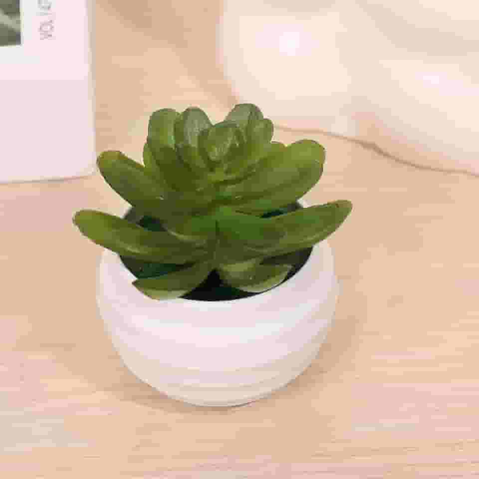 Pacote com 3 mini plantas suculentas artificiais de aloe - plantas falsas em vasos de toque real com vasos de cerâmica, decoração de mesa pequena para casa, escritório, mesa e prateleira (verde escuro