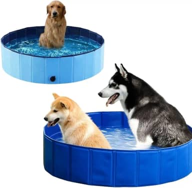 Piscina Pet Para Cães 70 Litros 80x20cm Dobrável