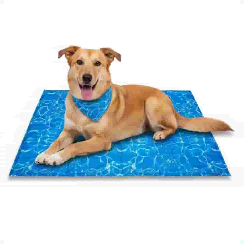 Tapete Gelado Refrescante para Pet – Alívio Imediato no Calor | Gel Ativado por Pressão | Seguro, Dobrável e Atóxico (Grande - 50x90cm, Azul Piscina)