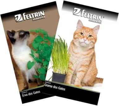 FELTRIN, KIT Sementes de Grama e Erva dos Gatos Catnip FELTRIN