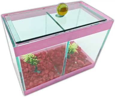 Aquário Beteira Dupla Decorado 17x9x13 1,9L 2 Peixes Betas (Rosa)