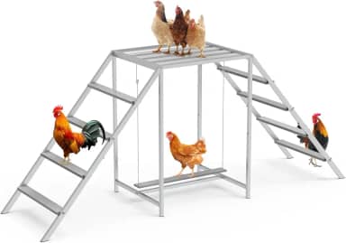 Poleiro de galinha para galinheiro com conjunto de balanço e escada, barras de cobertura para galinhas no galinheiro, brinquedos de frango para a saúde e felicidade do animal de estimação, cinza